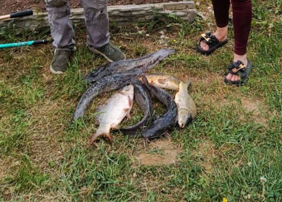 Аренда офиса  